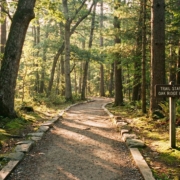 A well-maintained hiking trail extending forward through a sunlit forest, with a wooden trail marker reading 'Trail Start - Oak Ridge Loop' in the foreground.